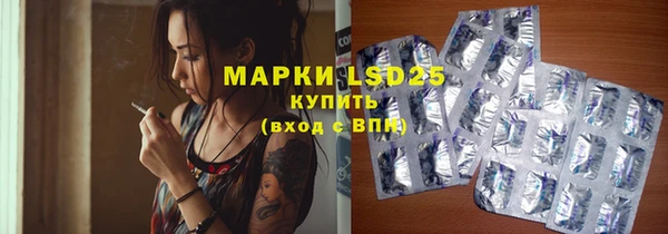 ECSTASY Елизово