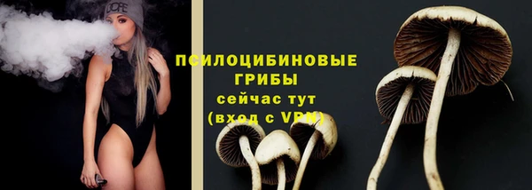 ECSTASY Елизово