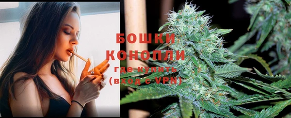 круглые Ельня